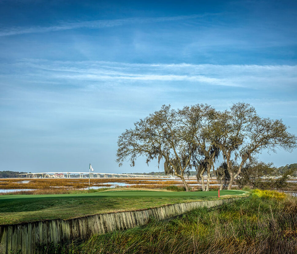 A scenic landscape features a lush green field, a large tree, and distant marshes with a bird. A calm, blue sky enhances the tranquil atmosphere.